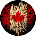 dina habh profile picture